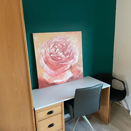 Rintelner Gaense-quartier Rinteln